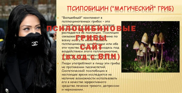 молекула духа Абдулино