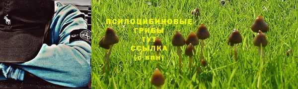 СК Алексеевка