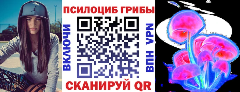 Галлюциногенные грибы Psilocybe  Королёв 